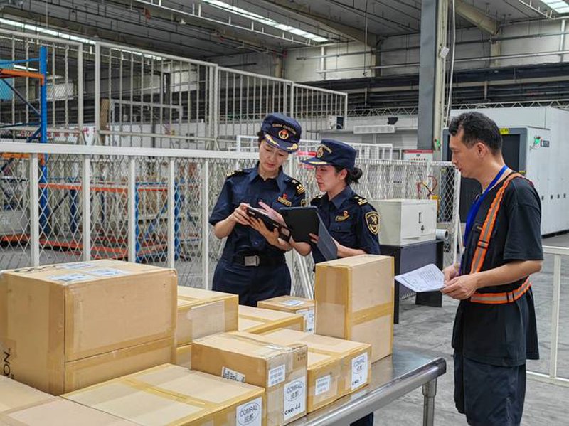解析进出口代理：贸易桥梁的搭建者